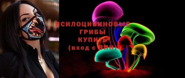 мдпв Гусиноозёрск
