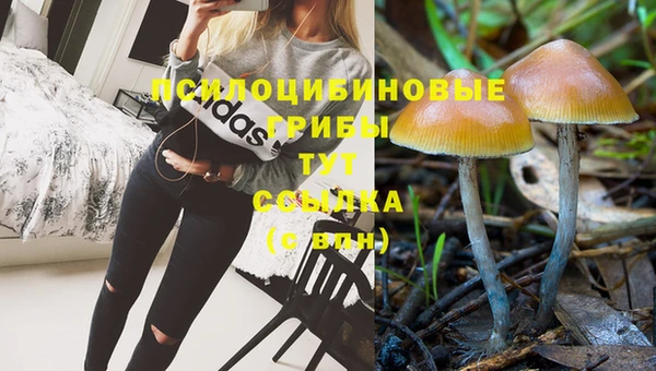 мдпв Гусиноозёрск