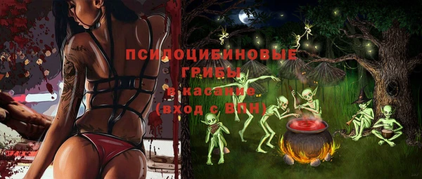 мдпв Гусиноозёрск