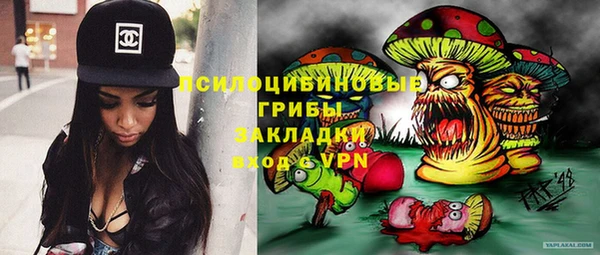 мдпв Гусиноозёрск