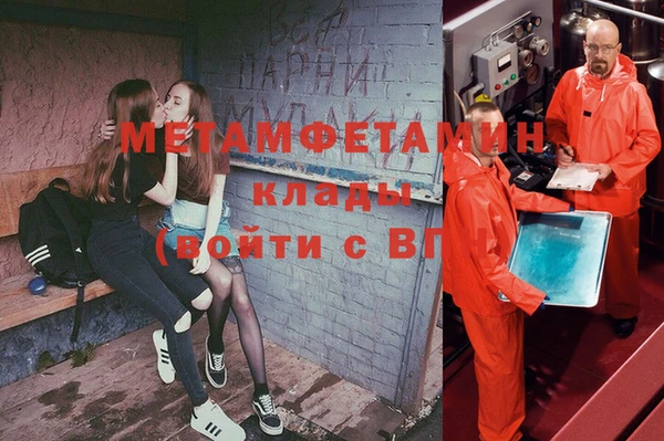 ПСИЛОЦИБИНОВЫЕ ГРИБЫ Гусев