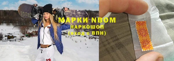 ПСИЛОЦИБИНОВЫЕ ГРИБЫ Гусев