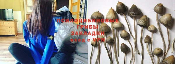 ПСИЛОЦИБИНОВЫЕ ГРИБЫ Гусев