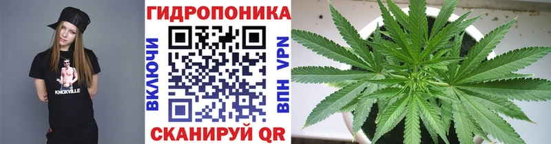Купить закладки  Северобайкальск  Марихуана семена 